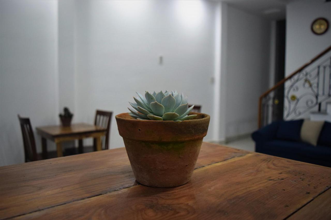 Sany Hostel Dalat Eksteriør bilde